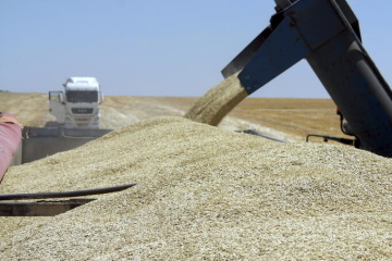 Russia Appropriates More Than 1 700 Tonnes Of Ukrainian Grain And Agricultural Products