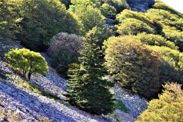 New Environmental Project Is Being Launched In Ukraine At Expense Of Eu