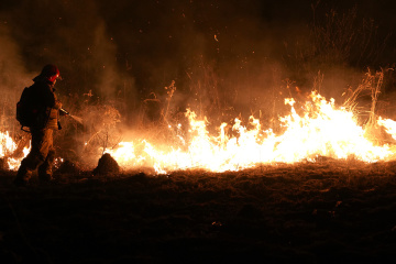 Russian Attack Ignites Fires In Odesa Region Affecting Lands Of Vylkove Forestry Ochakivskyi Island 