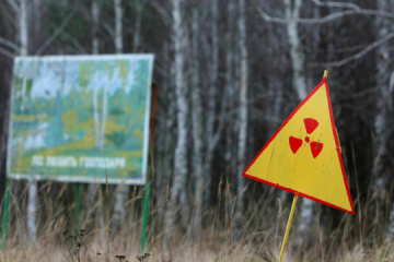 Illegal Logging In Chornobyl Zone Causes Over Uah 77m In Environmental Damage